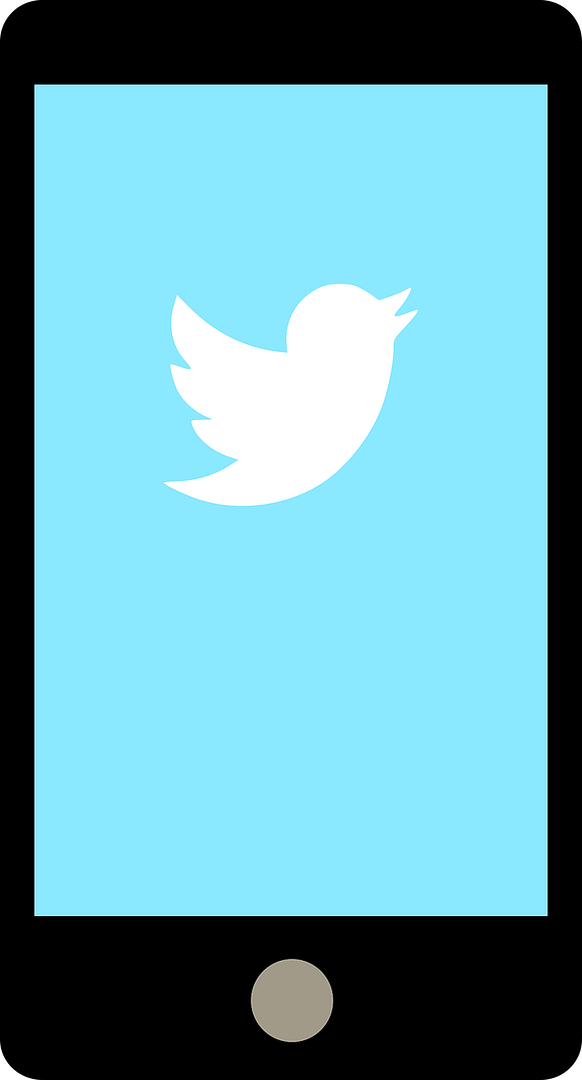 smartphone showing twitter logo