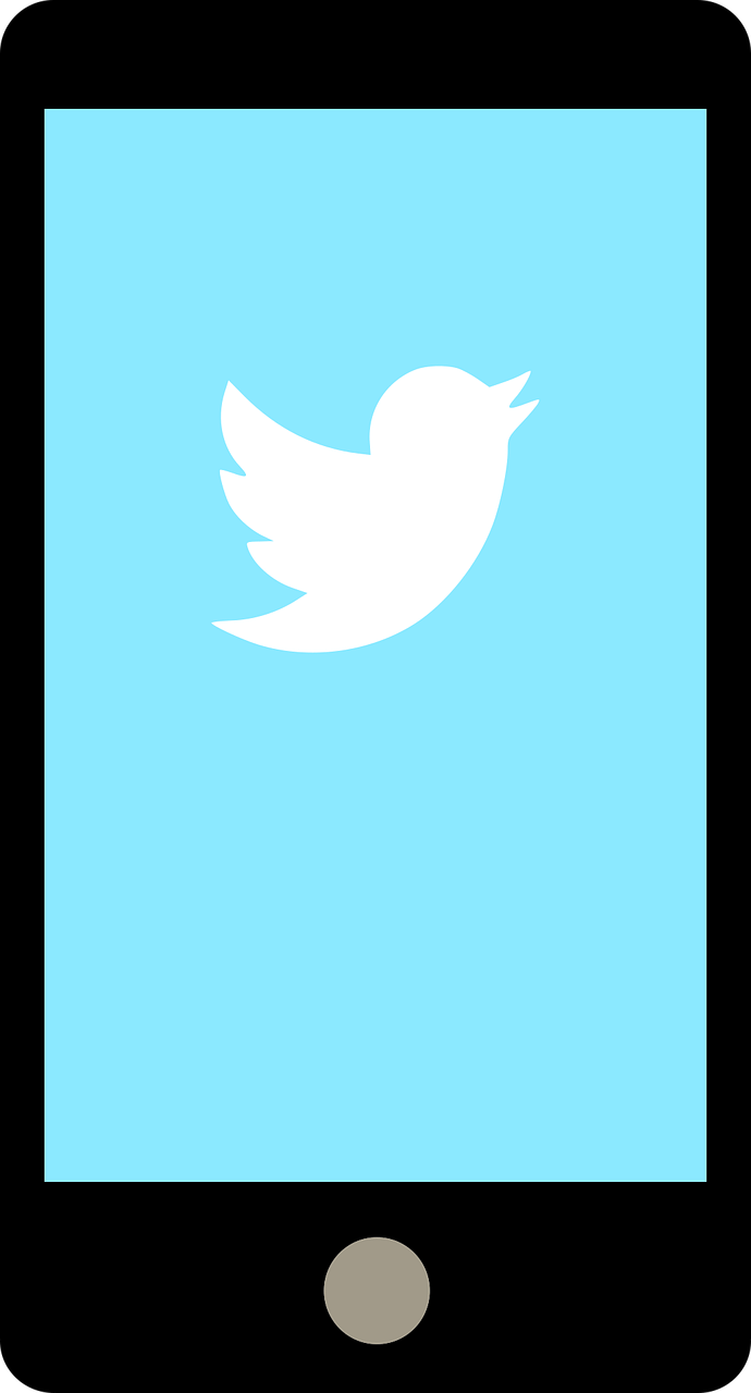 smartphone showing twitter logo